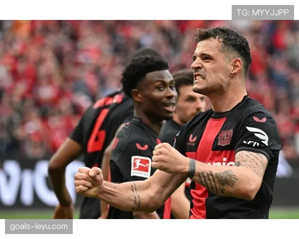 勒沃库森延续不败纪录,强势领跑德甲